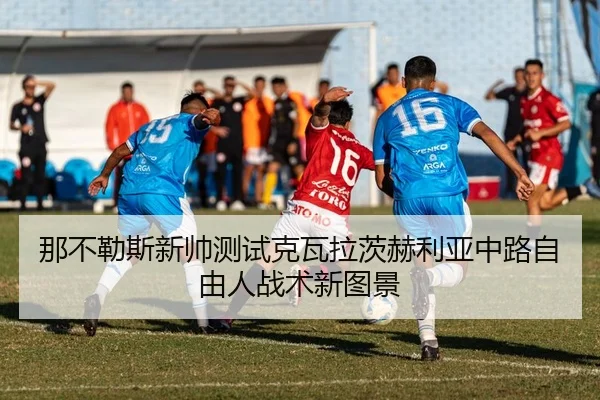 na-bu-le-si-xin-shuai-ce-shi-ke-wa-la-ci-he-li-ya-zhong-lu-zi-you-ren-zhan-shu-xin-tu-jing-2-116.jpg
