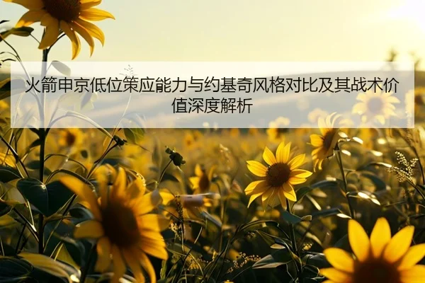 火箭申京低位策应能力与约基奇风格对比及其战术价值深度解析