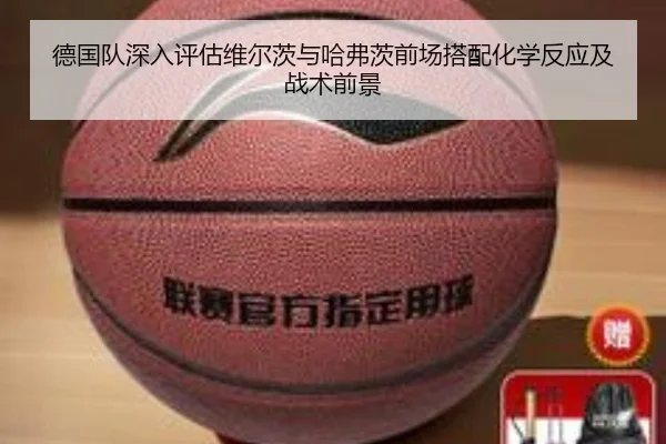 img_1782167762932_1410_1_959.jpg